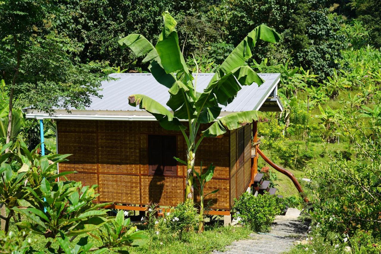 True Nature Chiang Mai - Yoga & Meditation Homestay Retreat Exterior photo